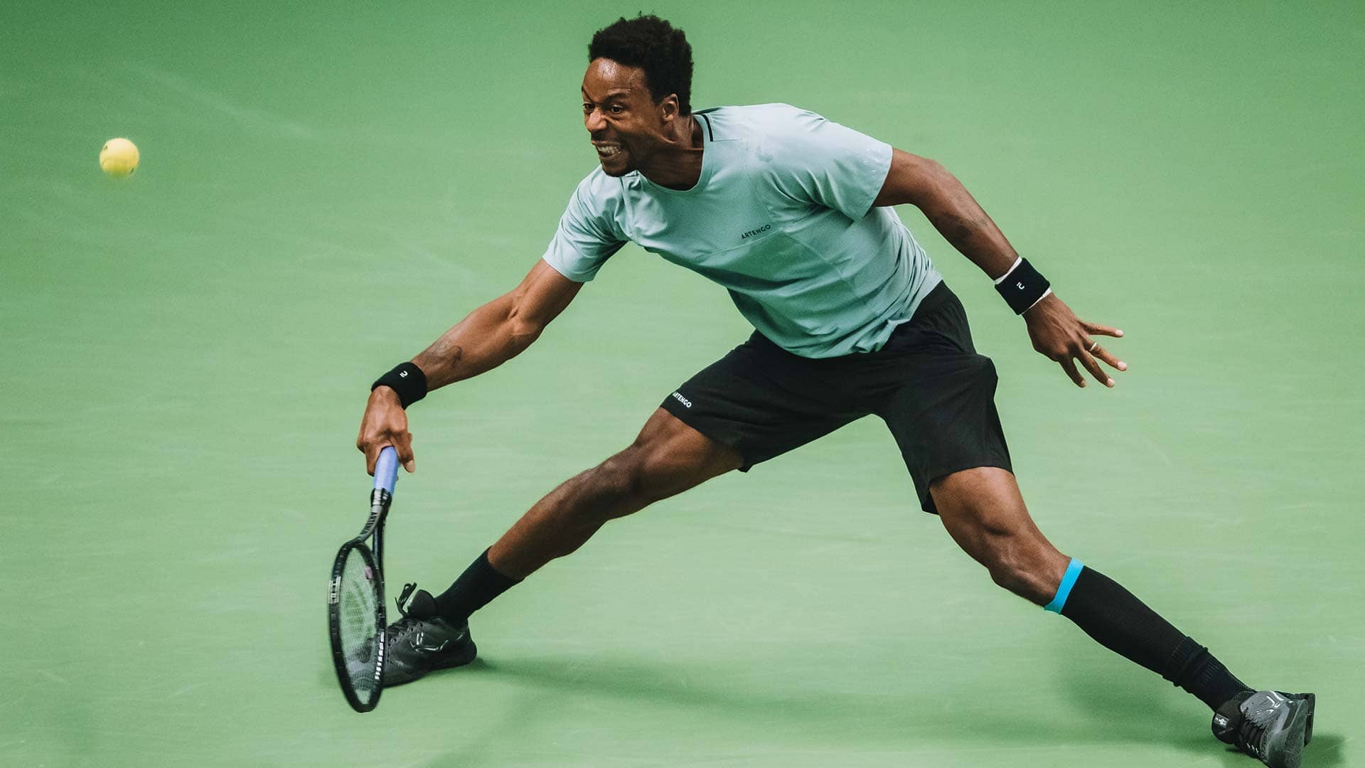 Gael Monfils