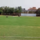 Gymkhana ground in Secunderabad