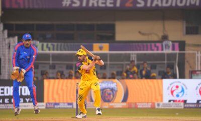 Singams on the rampage