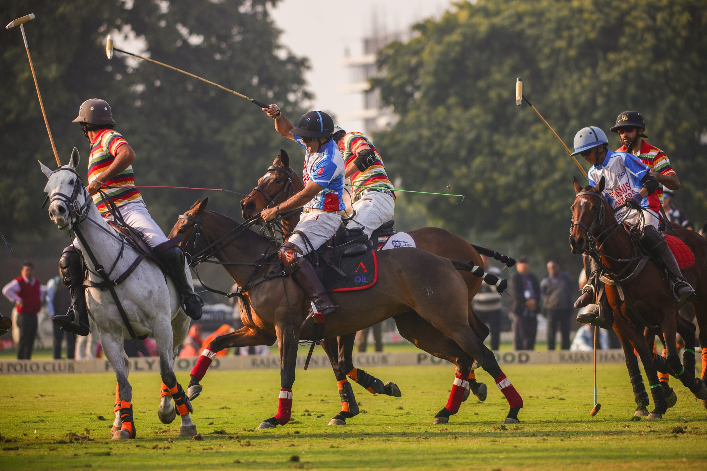 Jaipur Polo Team