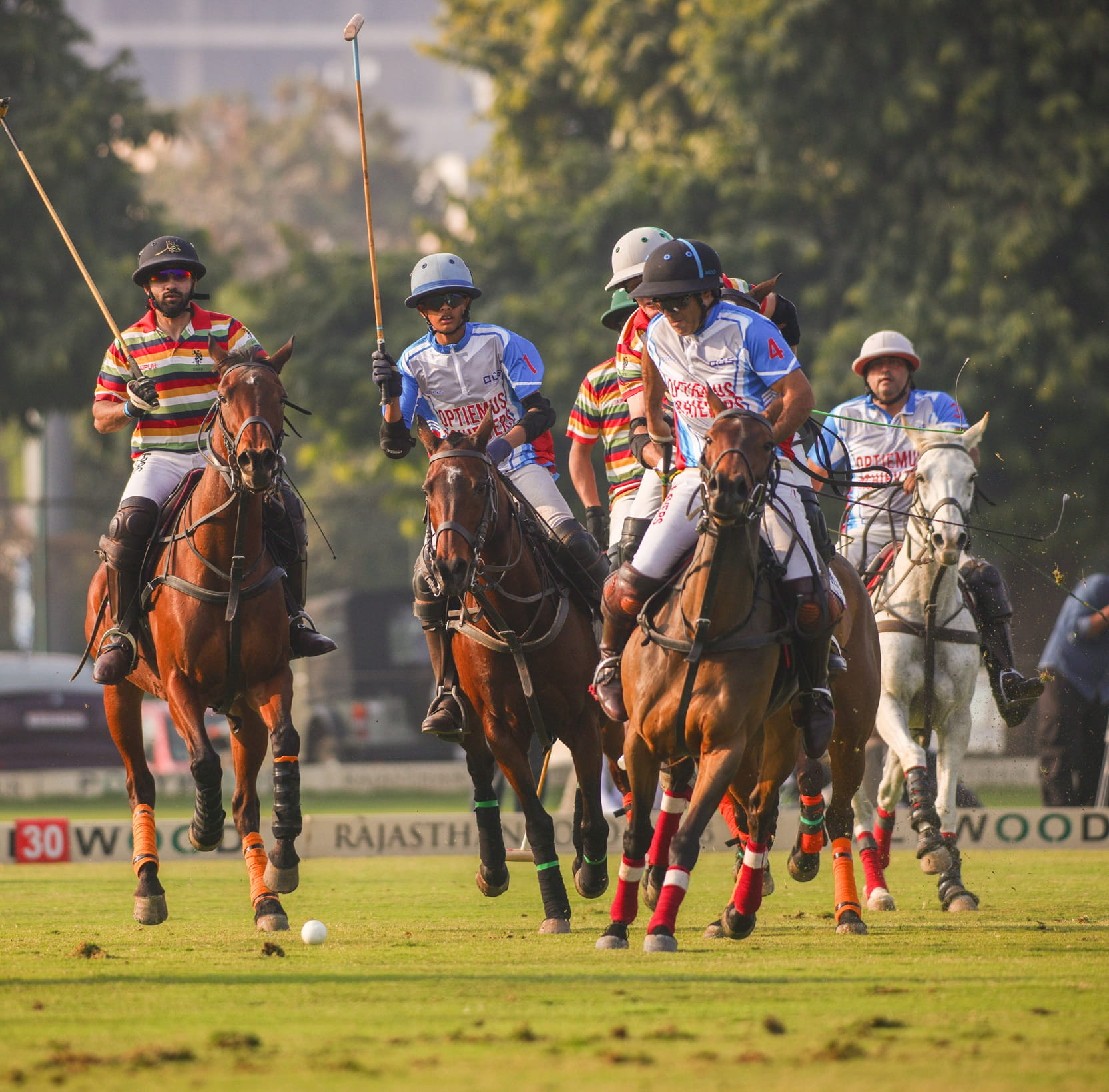 Jaipur Polo Team