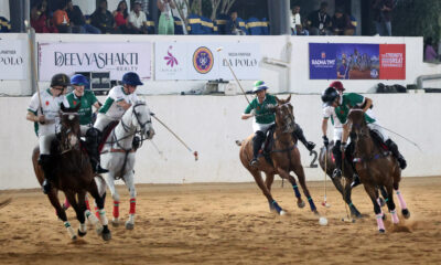 Inhabit Tigers vs Panthers