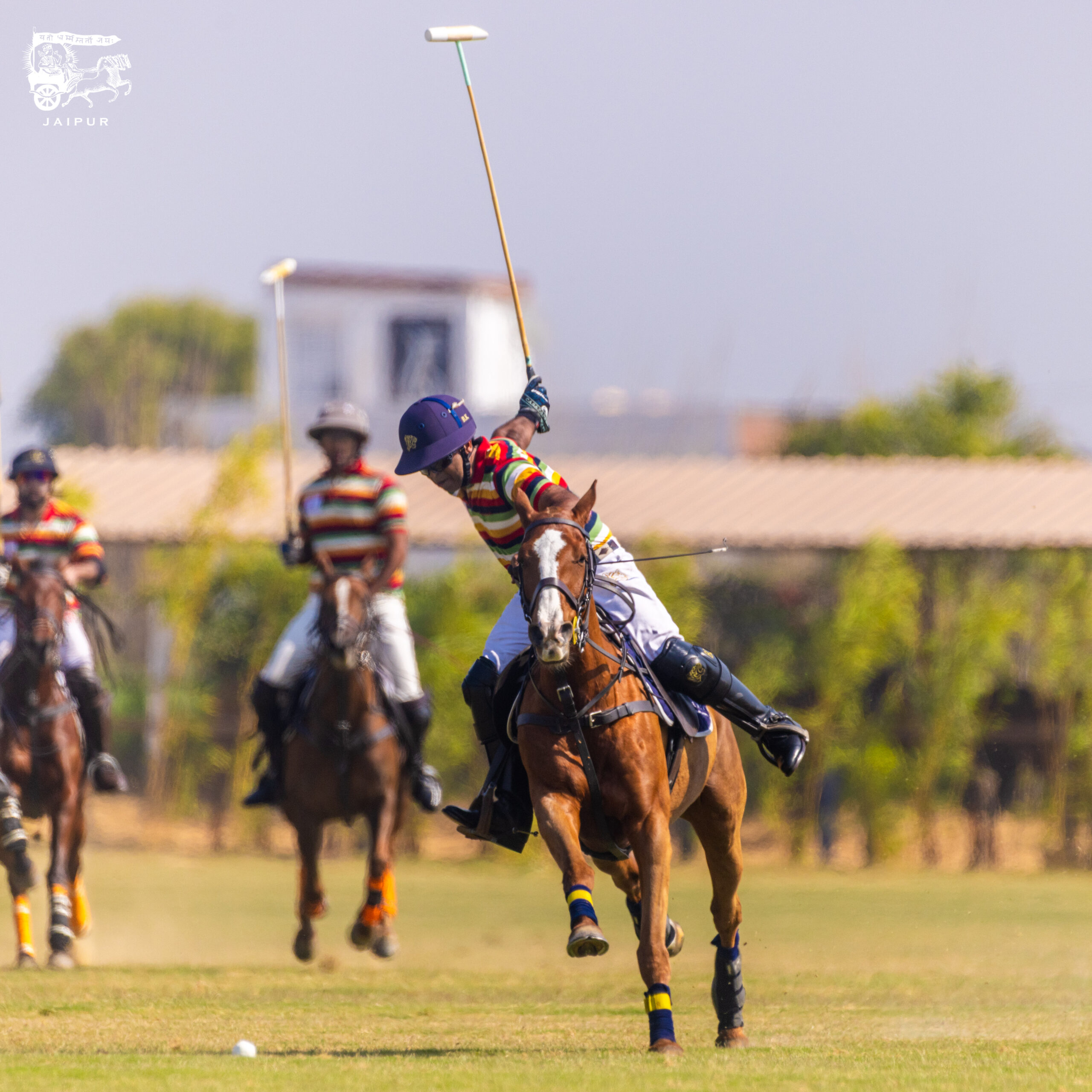 Jaipur Polo Team