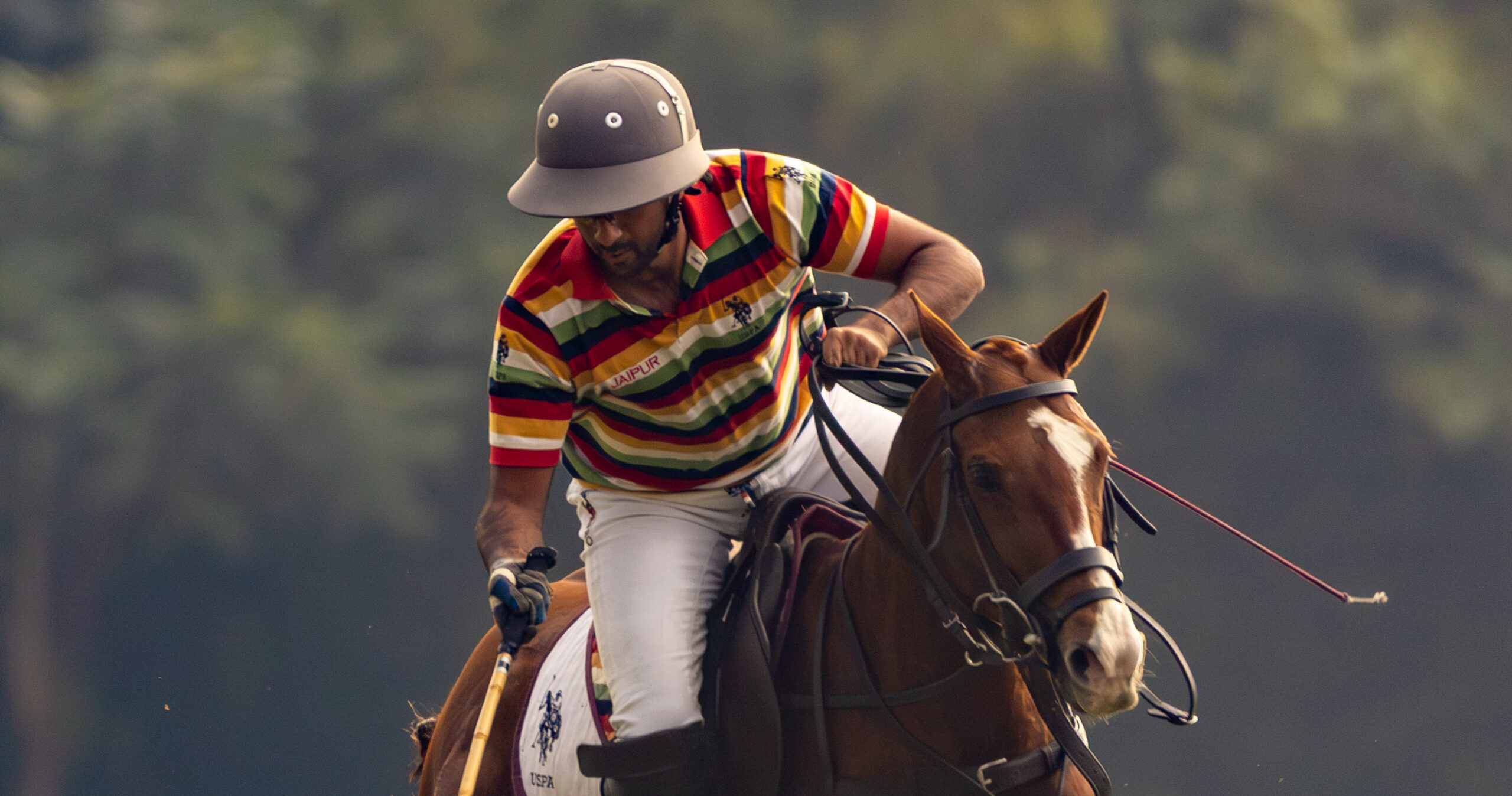 Jaipur Polo Team