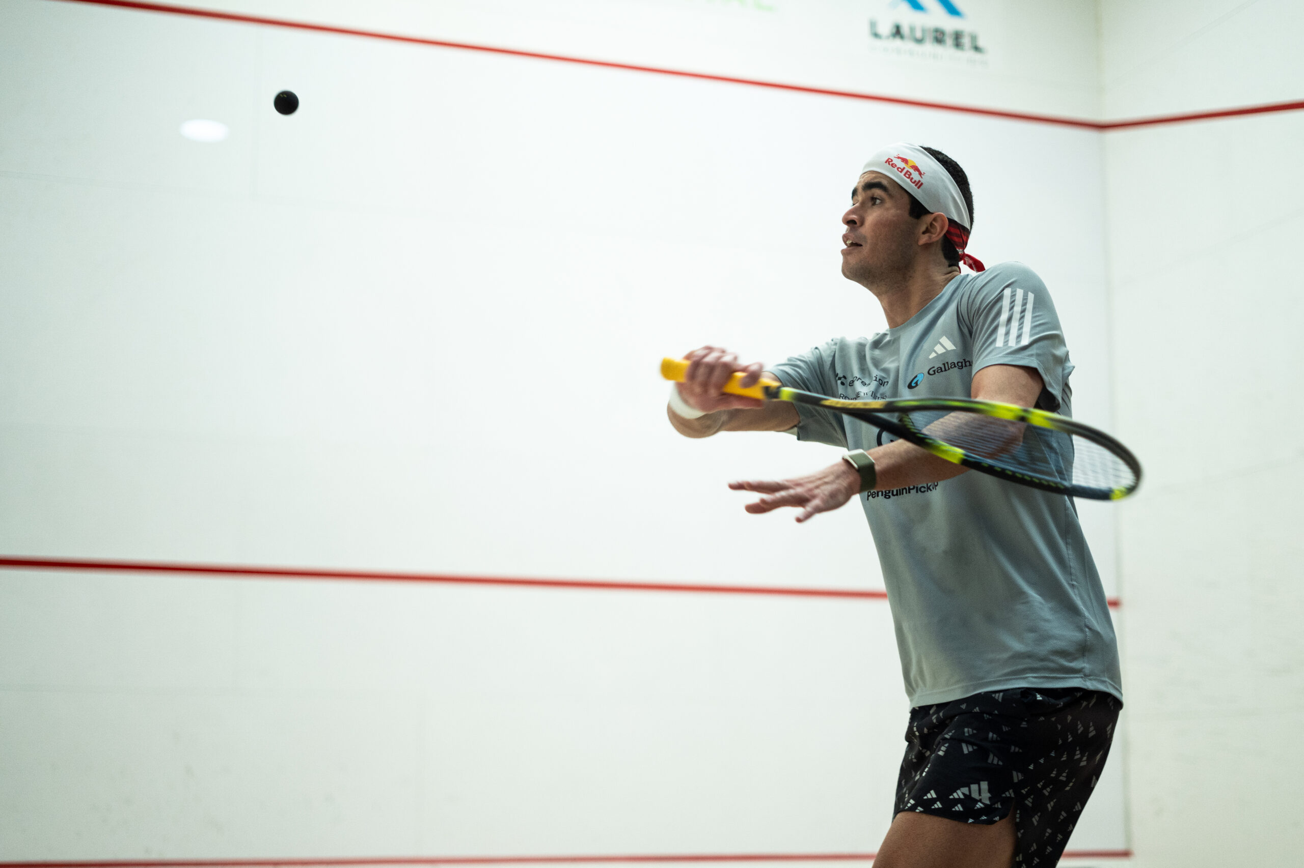 Third seed Yahya Elnawasany