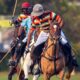 Jaipur Polo team in Shree Cement Cup final