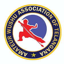 Wushu association