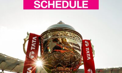 IPL playoffs