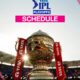 IPL playoffs