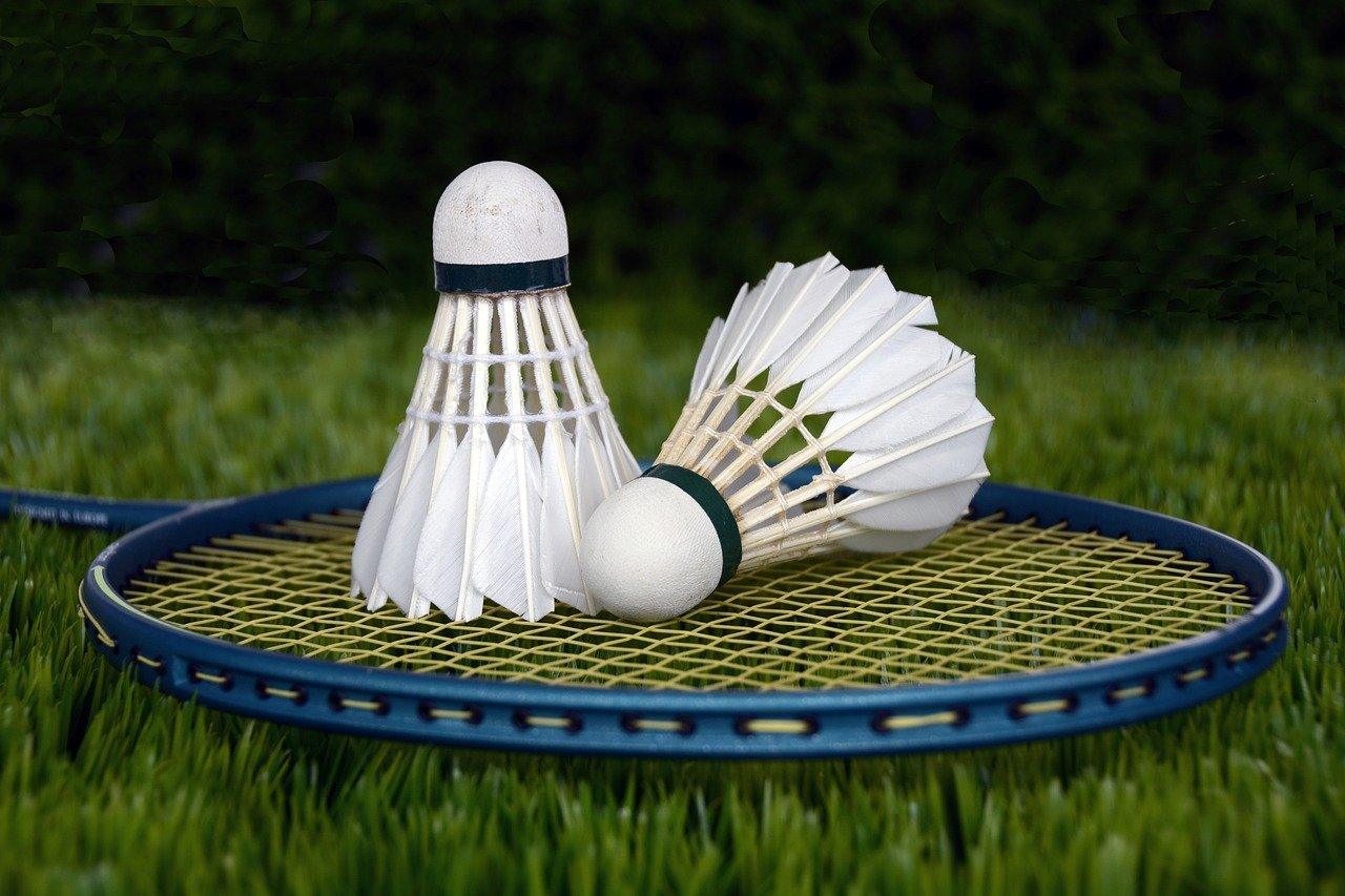 India in quarterfinals