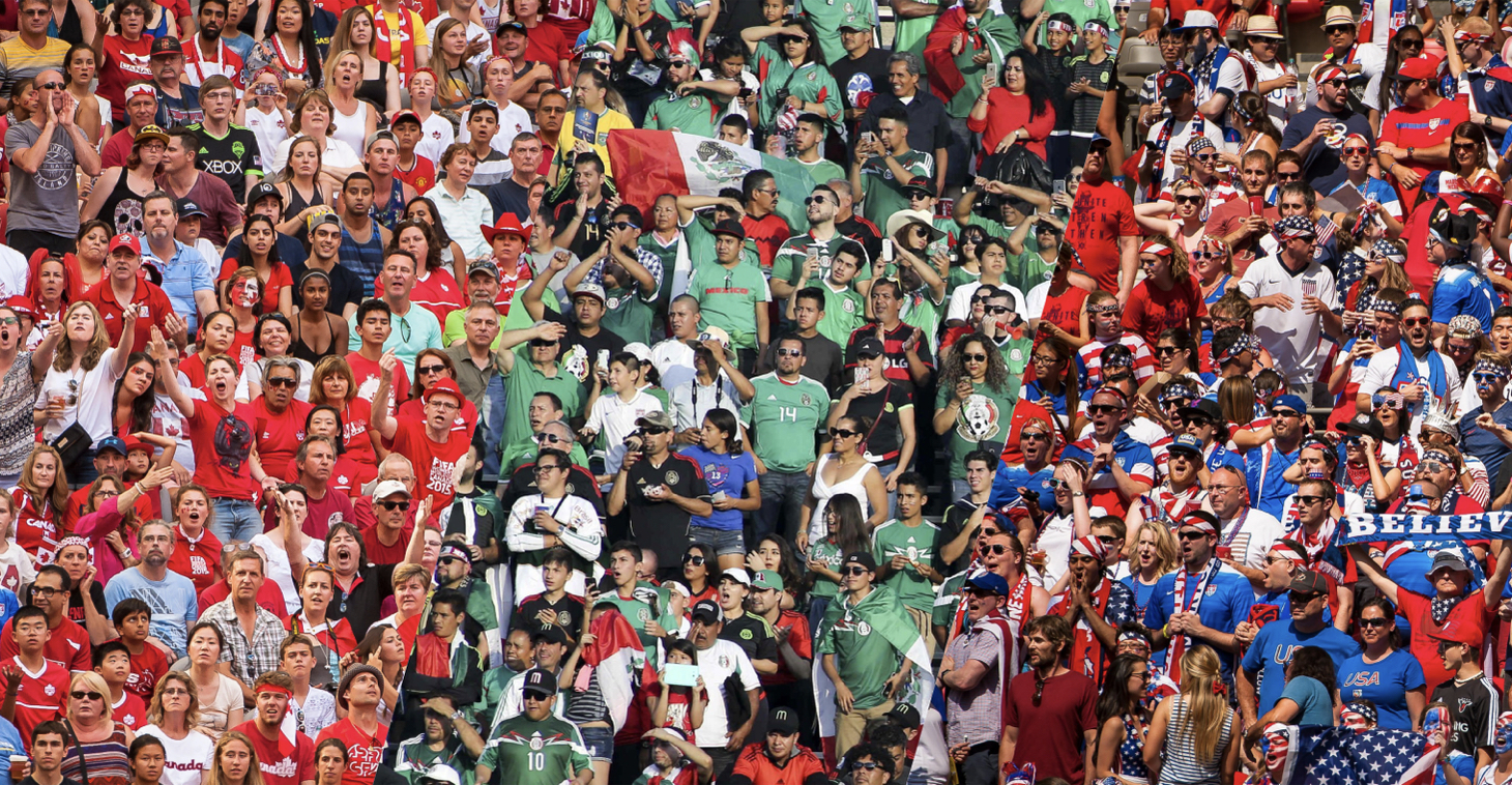 Fifa fans