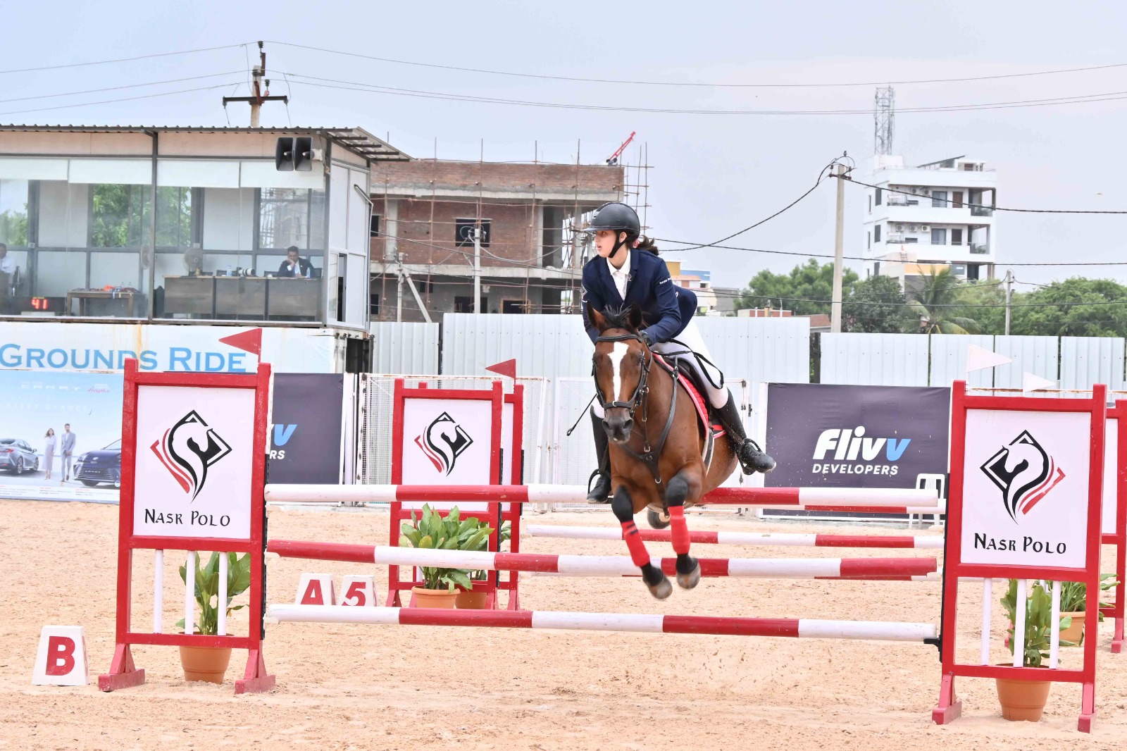 Horse Show 2026