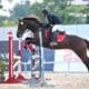 Mir Najamuddin, who is just 11 years old, crowned Champion Rider 2026