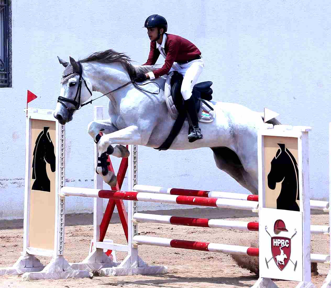 2nd National Qualifier and 2nd Telangana State Equestrian Championship this week
